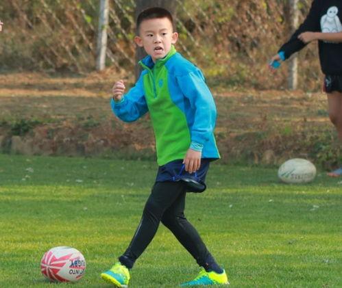 橄榄球刘凯爆料视频大全,揭秘赛场幕后故事