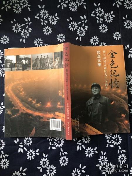 金色记忆 在线观看