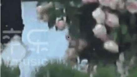 宋慧乔婚礼爆料视频播放,独家视频播放背后的甜蜜瞬间