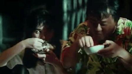 打真军 在线观看,在线观看揭秘实战风云