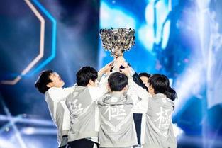 王冕爆料娱乐节目是什么