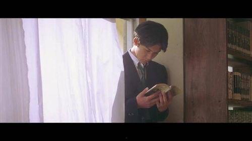 小情书电影在线观看,浪漫邂逅，青春回忆的甜蜜旋律