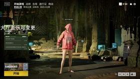 pubg新枪最新爆料,全新枪械亮相，pubg新枪爆料引玩家热议！