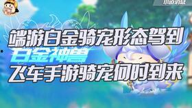 飞车最新骑宠爆料